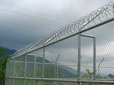Powder Coated Chain Link Wire Mesh Fence For Home Garden