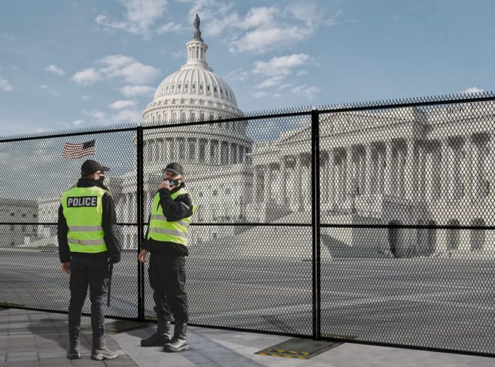 grass chain link fence factories