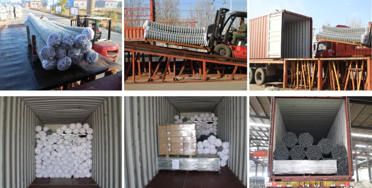 868 double wire mesh fence products